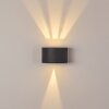WINDHOEK Outdoor Wall Light LED anthracite, 2-light sources