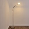 GULKANA Floor Lamp LED matt nickel, 1-light source, Colour changer