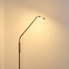 GULKANA Floor Lamp LED matt nickel, 1-light source, Colour changer