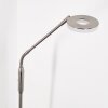 GULKANA Floor Lamp LED matt nickel, 1-light source, Colour changer