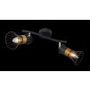 Globo ROXY Spotlight black, 2-light sources