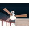 Globo ALANA fan stainless steel, matt nickel, 2-light sources, Remote control