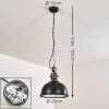 Pendant Light Ilvy LED black, 1-light source