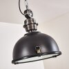Pendant Light Ilvy LED black, 1-light source