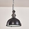 Pendant Light Ilvy LED black, 1-light source
