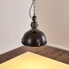 Pendant Light Ilvy LED black, 1-light source