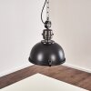 Pendant Light Ilvy LED black, 1-light source