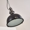 Pendant Light Ilvy LED black, 1-light source