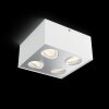 Philips BOX Ceiling light LED white, 4-light sources