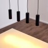 Zuoz Pendant Light black, 4-light sources