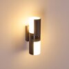 Outdoor Wall Light Baulund LED anthracite, 1-light source, Motion sensor