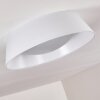 Negio Ceiling Light LED white, 1-light source