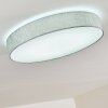 TALLABOA Ceiling light LED silver, 1-light source, Remote control