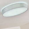 TALLABOA Ceiling light LED silver, 1-light source, Remote control