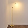 GULKANA Floor Lamp LED gold, 1-light source
