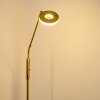 GULKANA Floor Lamp LED gold, 1-light source