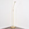GULKANA Floor Lamp LED gold, 1-light source