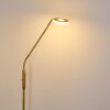 GULKANA Floor Lamp LED gold, 1-light source