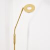 GULKANA Floor Lamp LED gold, 1-light source