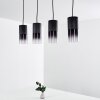 Kuparuk Pendant Light black, 4-light sources