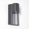 Bormio Outdoor Wall Light grey, silver, 1-light source