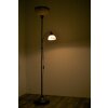 Wofi LACCHINO floor lamp brown, dark brown, rust-coloured, 2-light sources