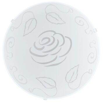 Eglo MARS 1 Wall and Ceiling Light white