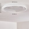 Rufi Ceiling Light LED white, 1-light source, Remote control
