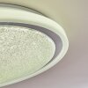 Rufi Ceiling Light LED white, 1-light source, Remote control