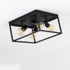 Ryssby Ceiling Light black, 4-light sources