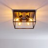 Ryssby Ceiling Light black, 4-light sources