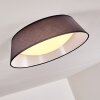 Negio Ceiling Light LED grey, white, 1-light source