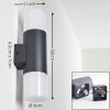 Outdoor Wall Light Schafhaus anthracite, 2-light sources