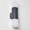 Outdoor Wall Light Schafhaus anthracite, 2-light sources