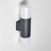 Outdoor Wall Light Schafhaus anthracite, 2-light sources