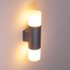 Outdoor Wall Light Schafhaus anthracite, 2-light sources