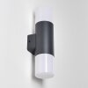 Outdoor Wall Light Schafhaus anthracite, 2-light sources