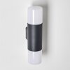Outdoor Wall Light Schafhaus anthracite, 2-light sources