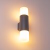 Outdoor Wall Light Schafhaus anthracite, 2-light sources