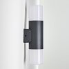Outdoor Wall Light Schafhaus anthracite, 2-light sources