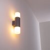 Outdoor Wall Light Schafhaus anthracite, 2-light sources