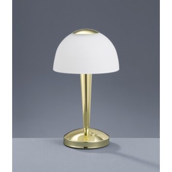 Trio 5299 table lamp LED brass, 1-light source