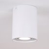BETSIE Ceiling Light white, 1-light source