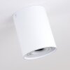 BETSIE Ceiling Light white, 1-light source