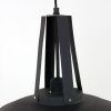 Steinhauer MEXLITE Pendant Light black, 1-light source