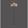 Leuchten-Direkt REED Floor Lamp black, 1-light source