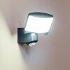 Outdoor Wall Light Larvik LED anthracite, 1-light source, Motion sensor