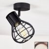 Gainesville Ceiling Light black, 1-light source