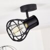 Gainesville Ceiling Light black, 1-light source