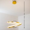 Stalon Pendant Light LED gold, 1-light source